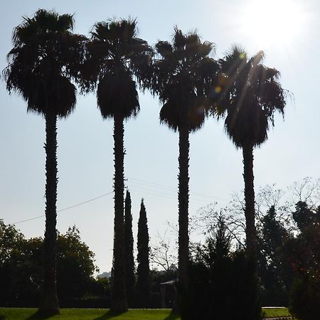 Villa Montanari Rosati Porto San Giorgio Dış mekan fotoğraf