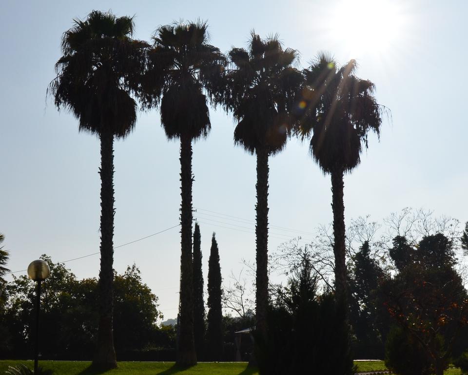 Villa Montanari Rosati Porto San Giorgio Dış mekan fotoğraf